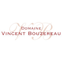 Vincent Bouzereau