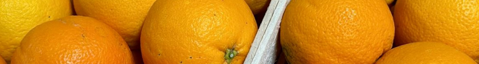 Arance di Ribera Washington