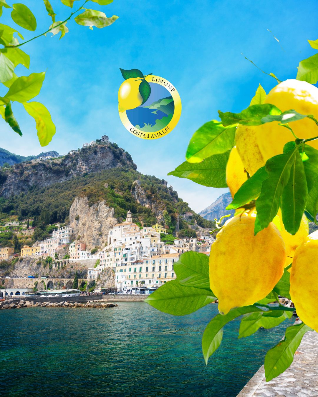 Limones de Amalfi IGP, el Aroma de la Costa Amalfitana Directamente en Tu Casa