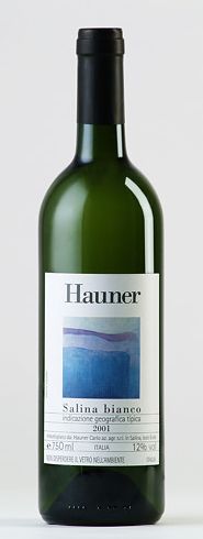 SALINA BLANCO HAUNER