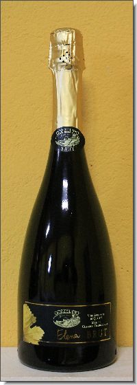 ELENA BRUT ESPUMANTE METODO CLASICO - GOZZELINO